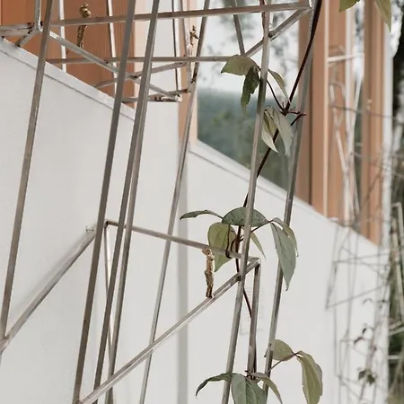 Larium - Oda ve Kahvaltı