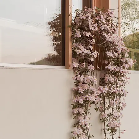 Larium - Oda ve Kahvaltı 4*