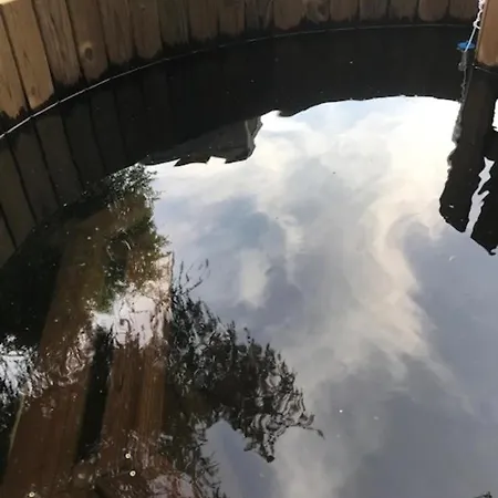 Larium - * Pigra